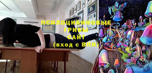 метадон Арсеньев