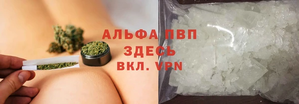 твердый Аркадак