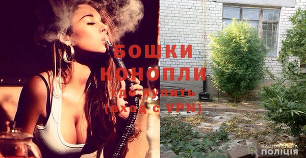 твердый Аркадак