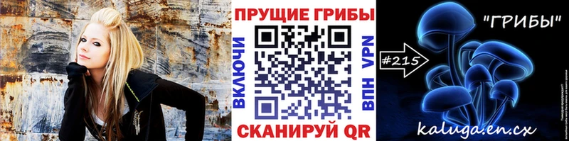 что такое omg как войти Псилоцибиновые грибы Psilocybe Балтийск